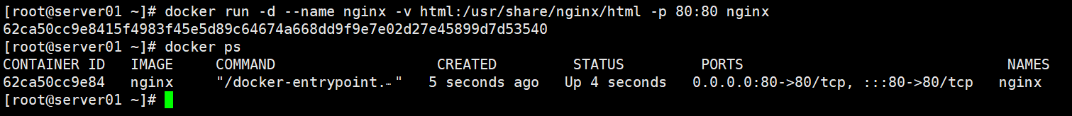 image-20231023210627910