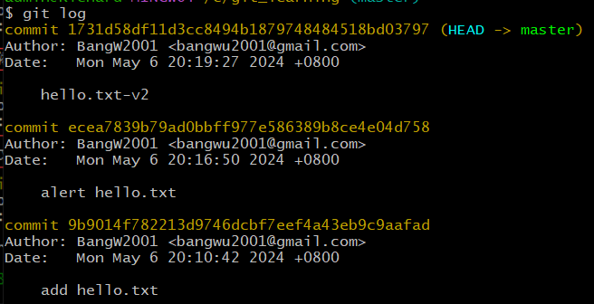 image-20240506202044597